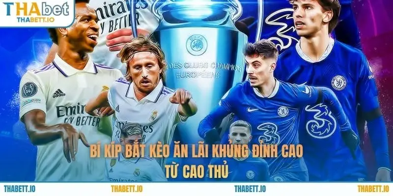 Bí kíp bắt kèo ăn lãi khủng đỉnh cao từ cao thủ