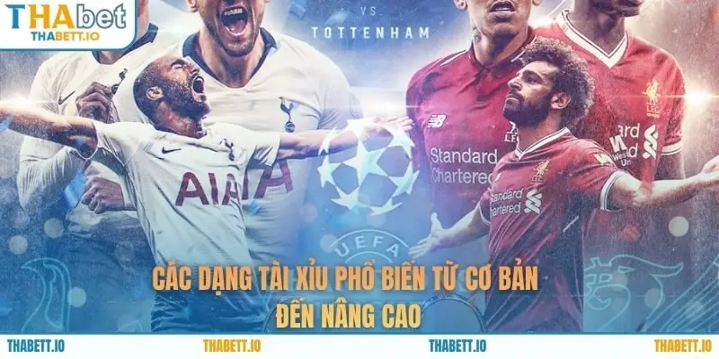 Các dạng tài xỉu phổ biến từ cơ bản đến nâng cao