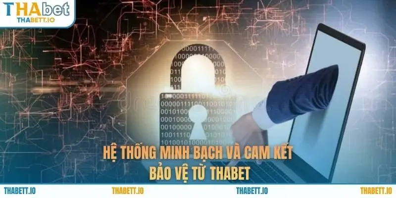 Hệ thống minh bạch và cam kết bảo vệ từ THABET